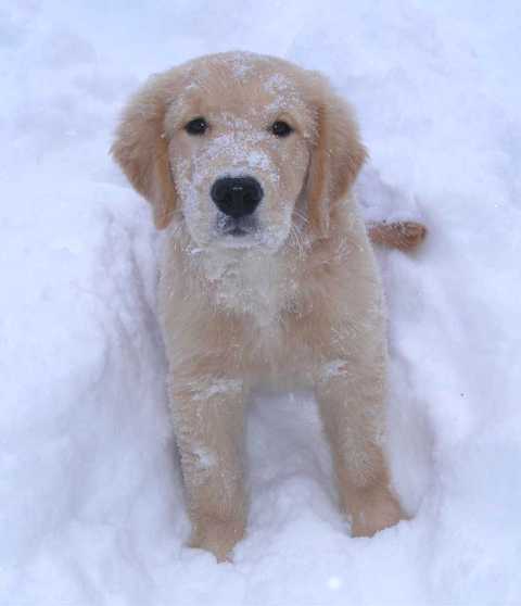 Sweet boy